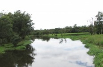 Cidade passa a integrar a APA da Várzea do Tietê