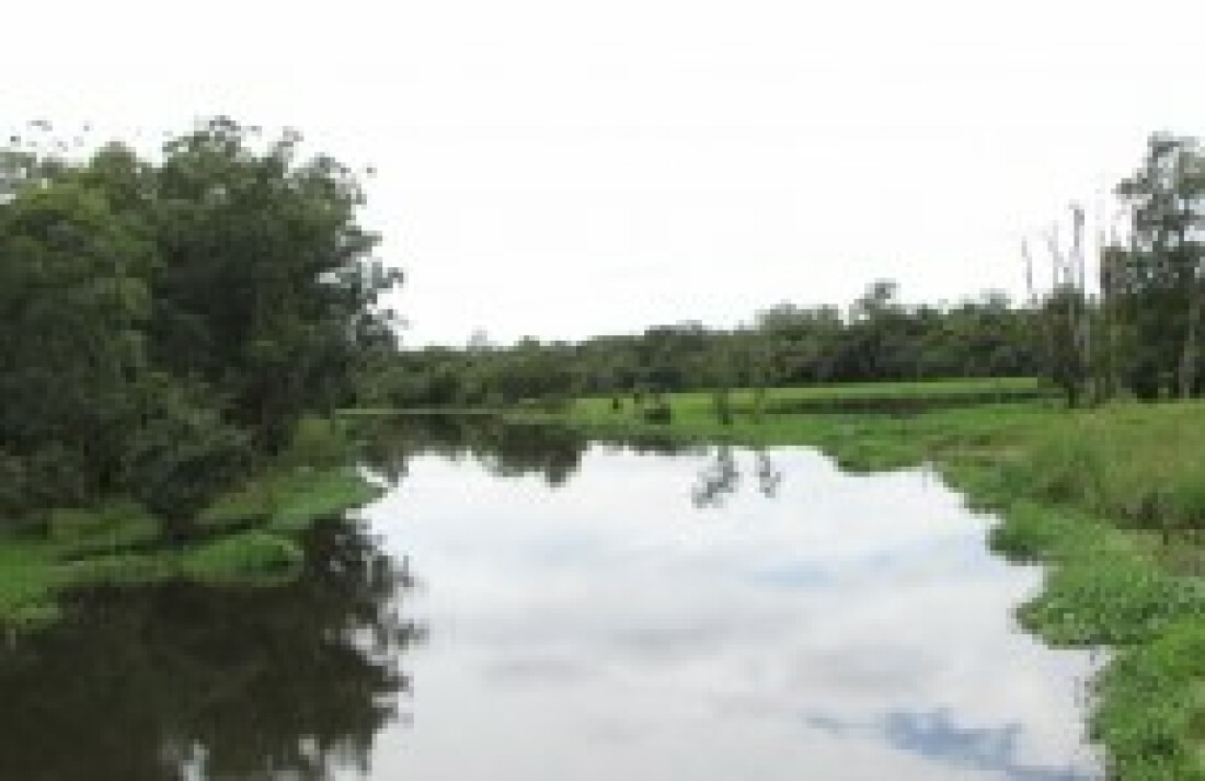 Cidade passa a integrar a APA da Várzea do Tietê