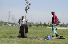 Parque Max Feffer recebe plantio de árvores neste mês