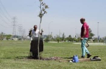 Parque Max Feffer recebe plantio de árvores neste mês