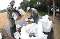 Ação recolherá embalagens de agrotóxico na próxima quinta