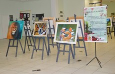 Exposição 'Segunda Aurora' segue na Câmara