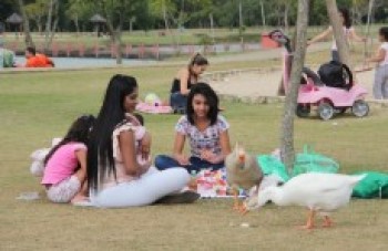 Cidades têm ações para Dia das Crianças