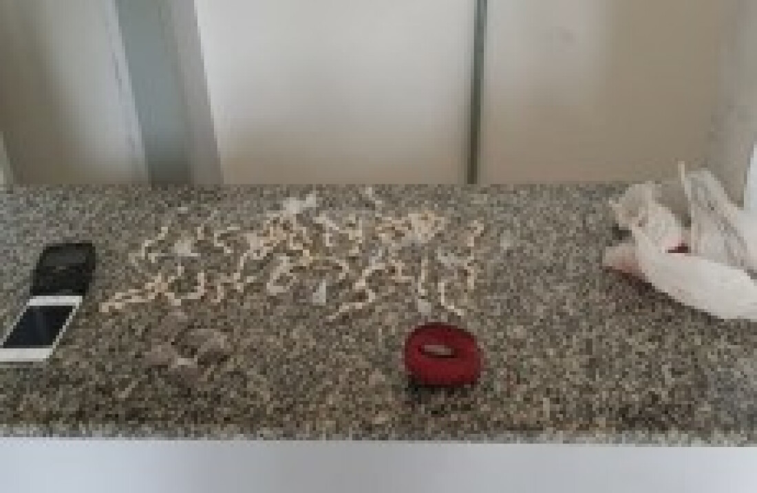 PM faz apreensão de drogas no feriado