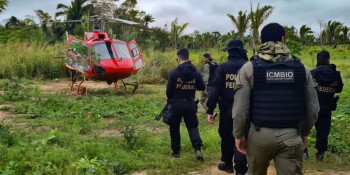 Pesquisa traça conexões entre narcotráfico e crimes ambientais no país