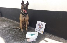 Polícia e GCM detém três na região