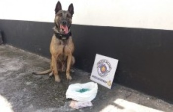 Polícia e GCM detém três na região