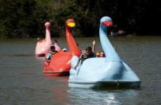 Fundo e Família Solidárialevam 67 crianças ao parque