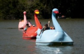 Fundo e Família Solidárialevam 67 crianças ao parque