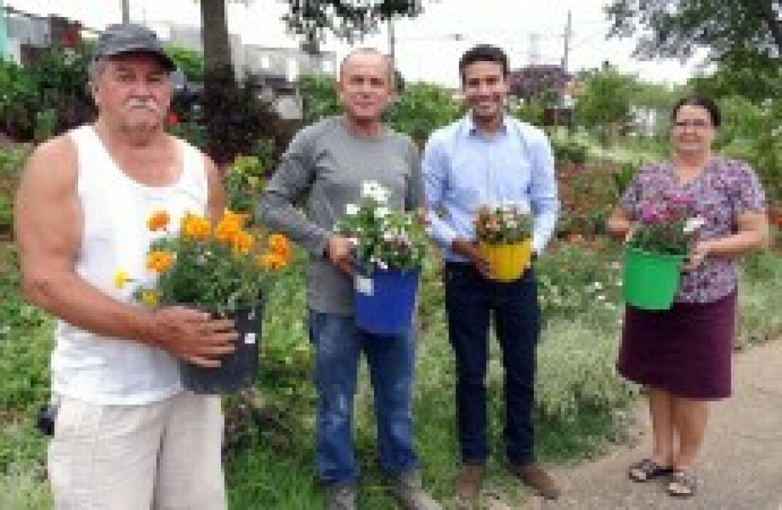 Área verde de bairro tem apoio do Viveiro de Suzano