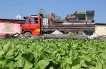 Agricultura familiar equivale a 30% da produção da cidade