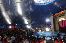 Ação do Fundo Social leva 5 mil crianças ao Circo dos Sonhos