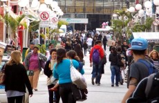 Mogi contabiliza 2 mil novos negócios em 2018