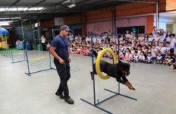 Canil promove seis apresentações