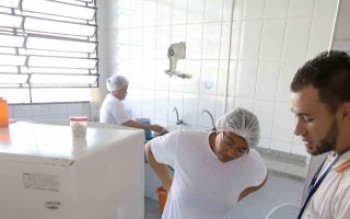 Ações combatem o Aedes aegypti