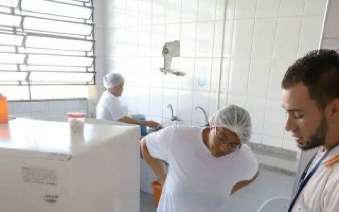 Ações combatem o Aedes aegypti