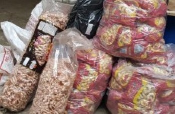 Prefeitura fecha fábrica irregular de salgadinhos