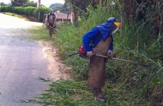 Zoonoses orienta sobre prevenção de acidentes com escorpiões e cobras