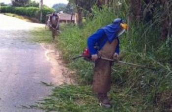 Zoonoses orienta sobre prevenção de acidentes com escorpiões e cobras
