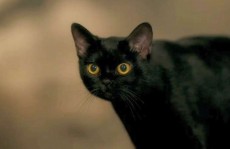 "O Sétimo Guardião"