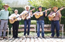 Festival de Verão inaugura a programação cultural do ano