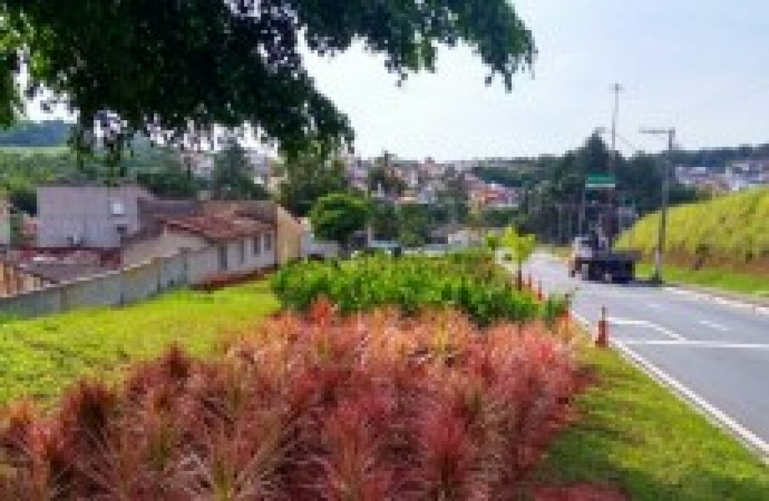 Prefeitura revitaliza áreas nas entradas do município