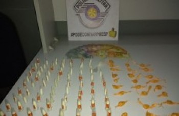 Dois casos de tráfico de drogas são registrados no feriado