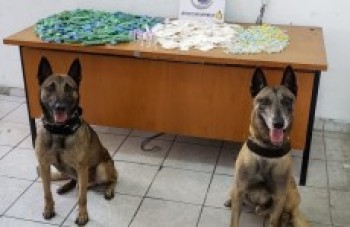 Canil da PM localiza entorpecentes no Monte Cristo e Cidade Edson