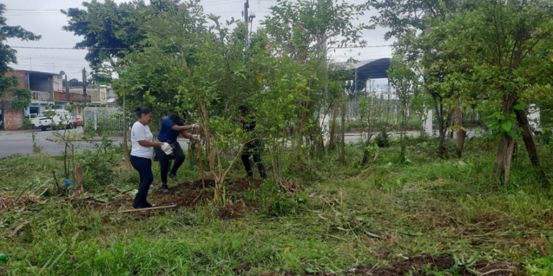 Poá inicia processo de revitalização de área verde em Calmon Viana