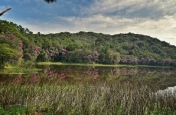 Museu da Energia define programação para o feriado