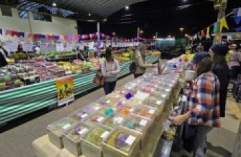 Feiras noturnas têm programação musical