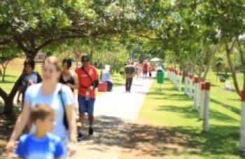 Último sábado movimenta o Centenário