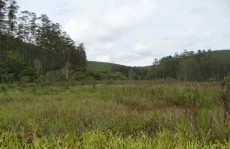 Brejinho ganhará ação comunitária no domingo