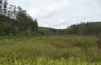 Brejinho ganhará ação comunitária no domingo