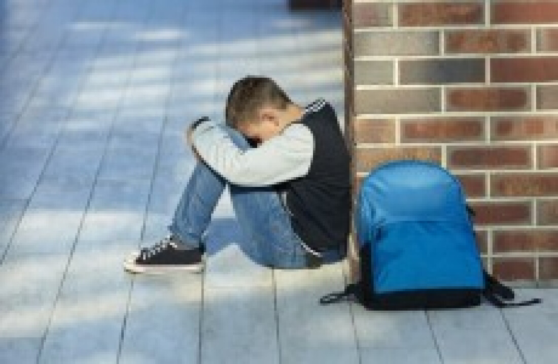 Palestra sobre bullying enfoca as leis federais