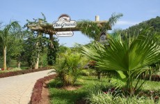 Observação de aves acontece amanhã na Ilha Grande