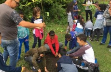 Viveiro recebe estudantes da escola Benedito Laporte