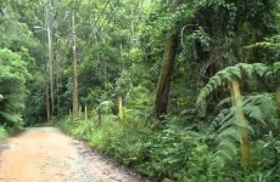 Decreto define Serra do Itapeti como Área de Proteção Ambiental