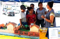 Saúde intensifica combate ao mosquito Aedes aegypti