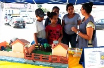 Saúde intensifica combate ao mosquito Aedes aegypti