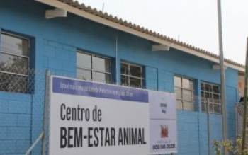 Liminar obriga Anclivepa a reassumir