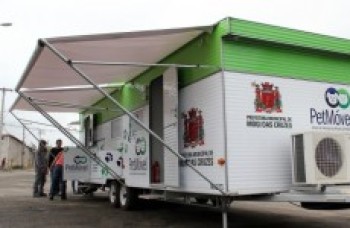 'Dezembro Verde' conscientiza sobre o abandono de animais