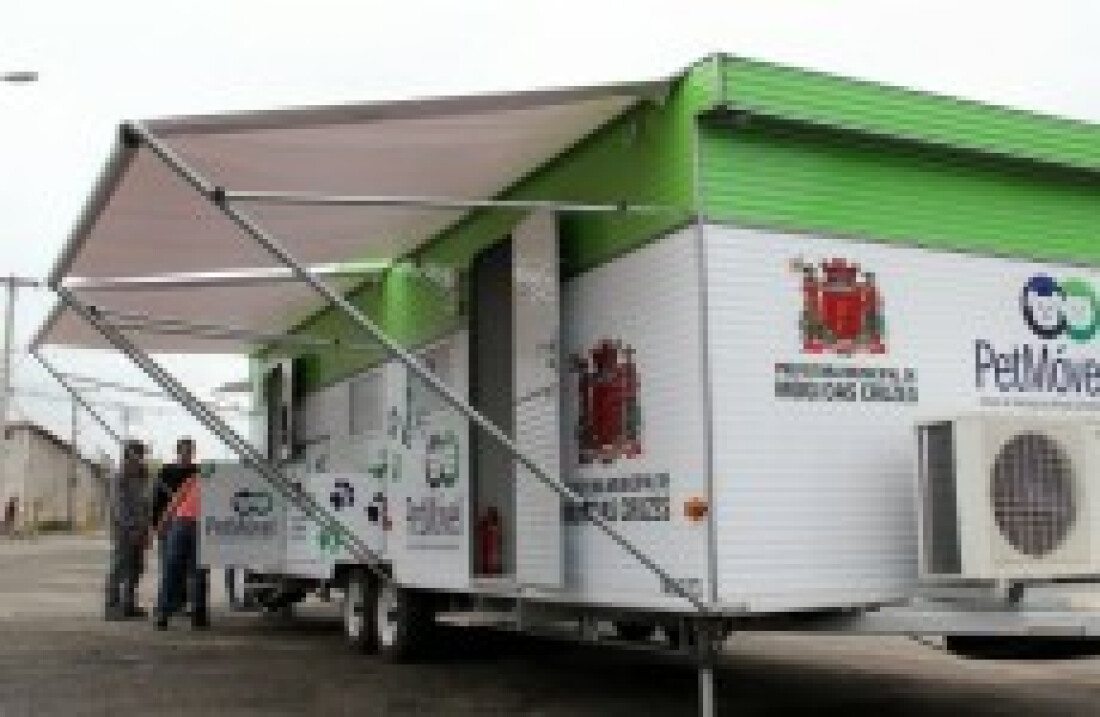 'Dezembro Verde' conscientiza sobre o abandono de animais
