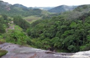 Museu oferece trilhas ecológicas para o público durante este mês