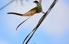 Inscrições para concurso fotográfico encerram hoje