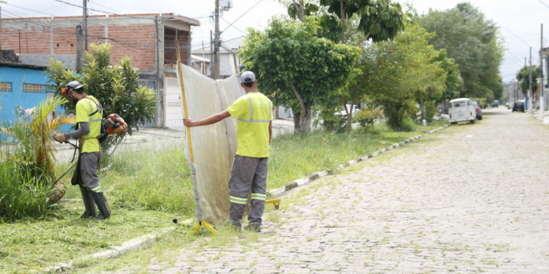 Viveiro Municipal inicia o ano com ações de zeladoria