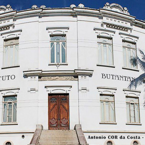 Coronovac: Butantan vai enviar amostras de testes para a Sinovac