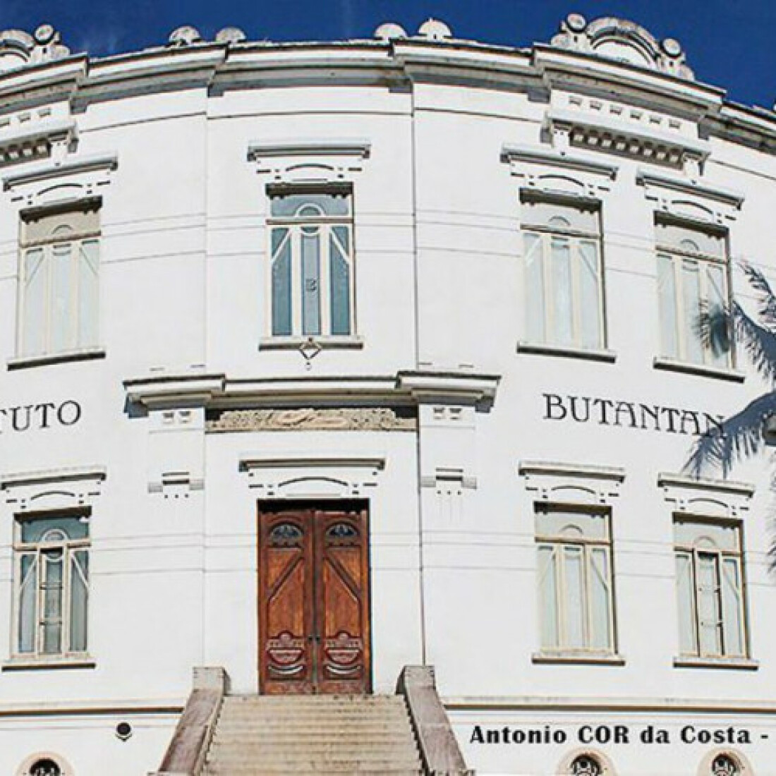 Coronovac: Butantan vai enviar amostras de testes para a Sinovac