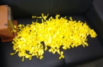 mãe e filho são detidos com 620 papelotes de cocaína: