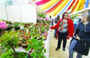 Expoá recebe visitantes em busca de flores e bons preços